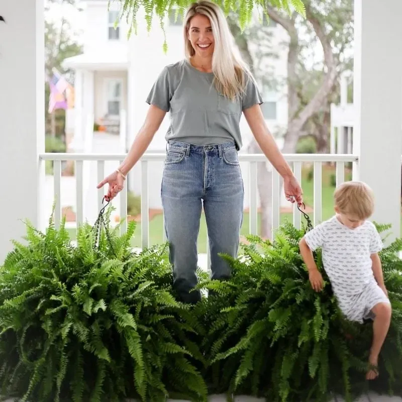 🔥 Last Day 70% OFF🌲 UV-Resistant Lifelike Artificial Boston Fern With LED Lights