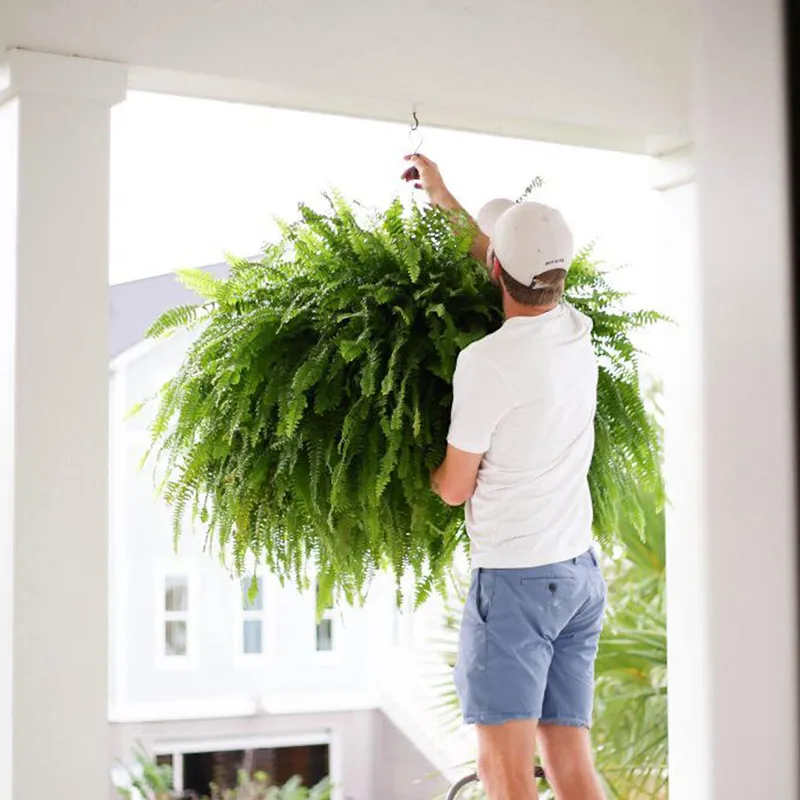 🔥 Last Day 70% OFF🌲 UV-Resistant Lifelike Artificial Boston Fern With LED Lights